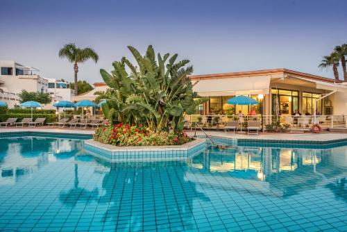 Acacia Marina - image 7