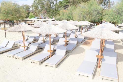 Attractions, Astri Hotel in Chalkidiki