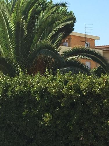 小轩住宿加早餐旅馆