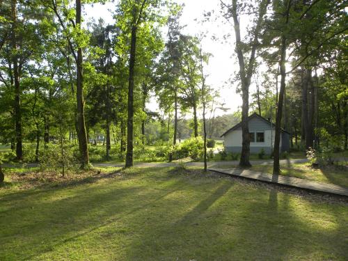 Bungalows Bospark te Stramproy - image 6