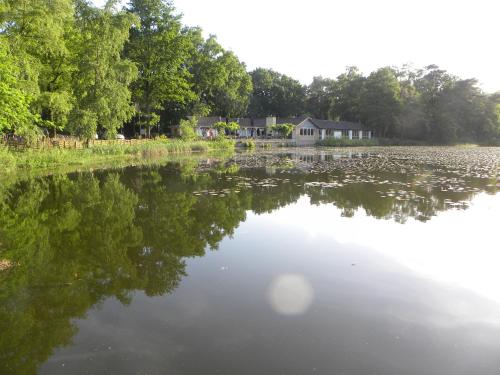 Bungalows Bospark te Stramproy - image 4