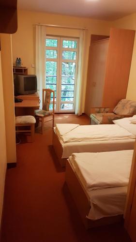 hostel leśny