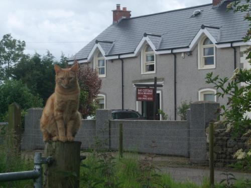 Bay Cottage Bed & Breakfast, , County Antrim