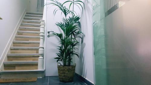  Artistic world in Brüssel