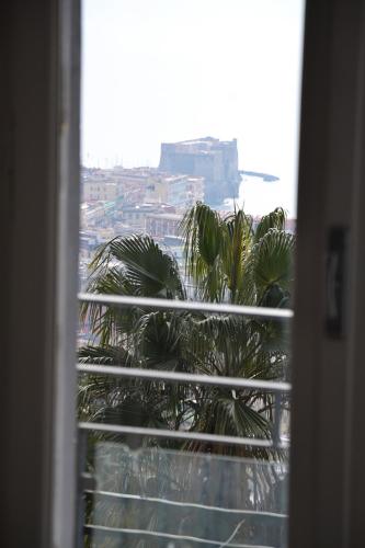 Casa del Cedro, Neapel (Foto 7)