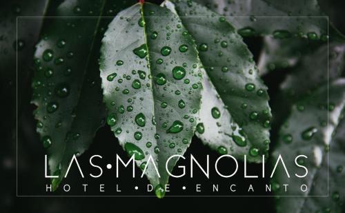 Las Magnolias Hotel Boutique