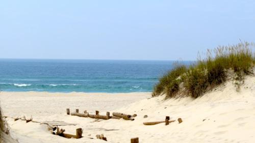 Strand, Casa Gaivina 1 in Murtosa