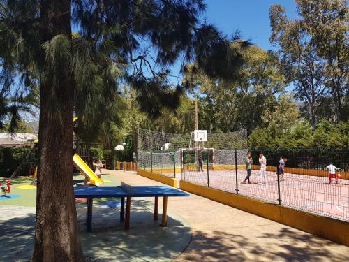 Camping Paloma - image 5