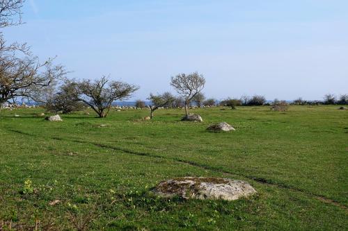 Bodelssons by the Sea - image 12