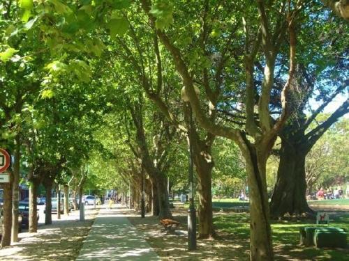 Apartamento Brown Plaza Mitre Solo Familias
