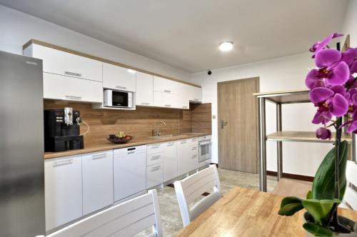 Cozinha, Akoja in Wladyslawowo
