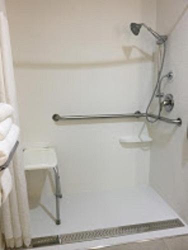 King Room - Hearing Accessible - Roll-in Shower