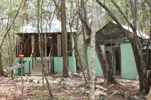 Facilities, Campamento Yaax Che en Calakmul in Chicanna