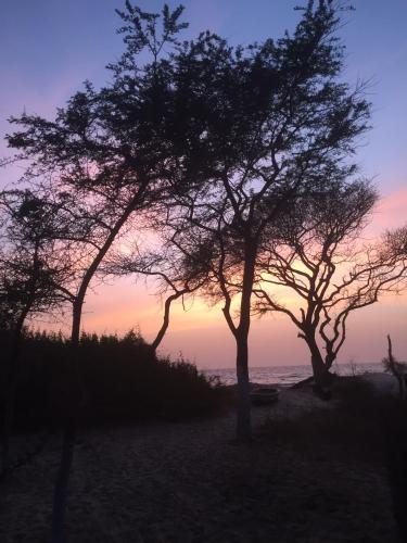 Tampilan eksterior, Feel Free Lodge in North Bank