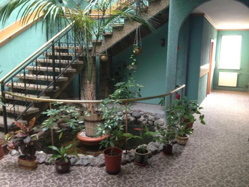 Létesítmények, Hotel Julian in Zachod