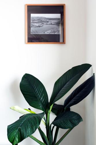 Monte da Guia Alojamento Local