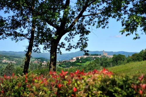  Agriturismo La Pietraia, Poppi bei Borgo alla Collina