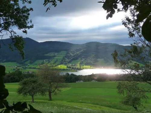 Familienferienhof Stabauer in Zell am Moos, Österreich