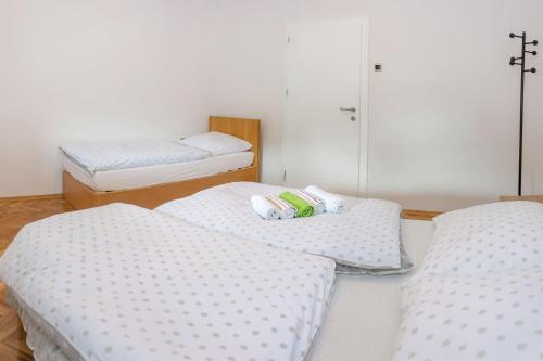 Apartment Vila Tara
