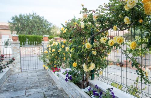 Casa Svit - Tap to explore photos