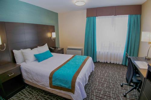 Queen Room with Roll-In Shower - Mobility Accessible/Non-Smoking