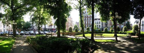 Flat Moliere - image 9