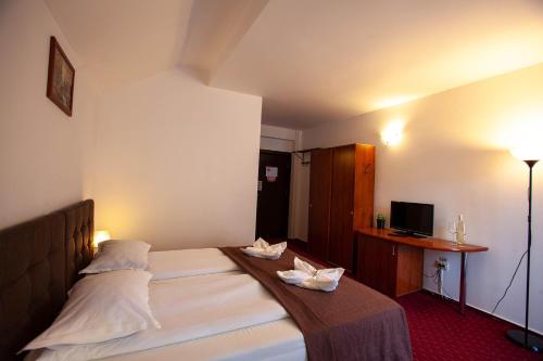 Casa Vlasin - image 4