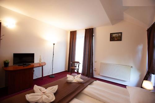 Casa Vlasin - image 8