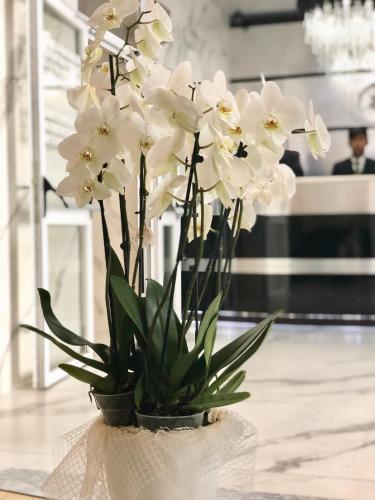 Hotel Bolzano - image 4