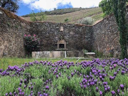 Quinta da Gricha - image 2