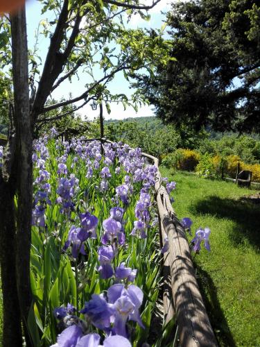  La Capannina in Loro Ciuffenna