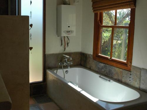 جاكوزي, Forest Hills in فانتوم إيكرز