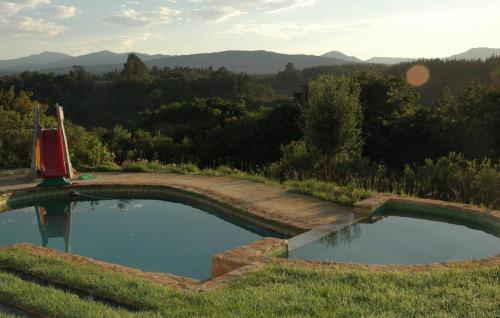 منظر, Forest Hills in فانتوم إيكرز