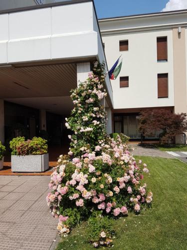 Hotel Continental