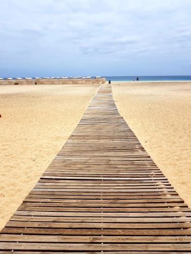 Your Ocean Window Your Ocean Window