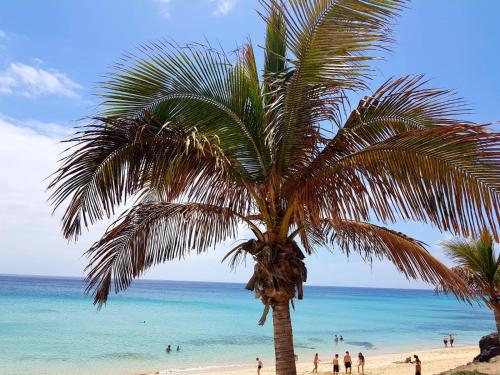 Your Ocean Window Your Ocean Window