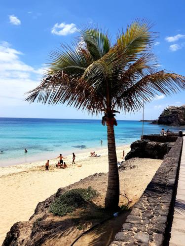 Your Ocean Window Your Ocean Window