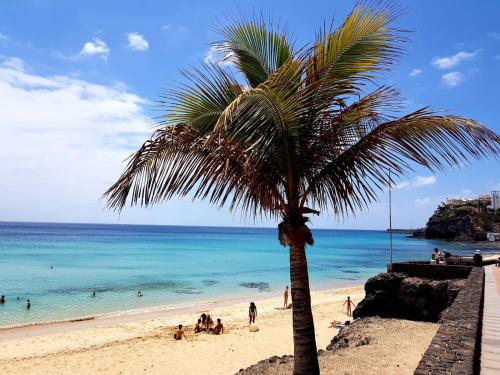 Your Ocean Window Your Ocean Window