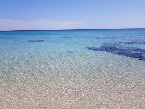 Your Ocean Window Your Ocean Window