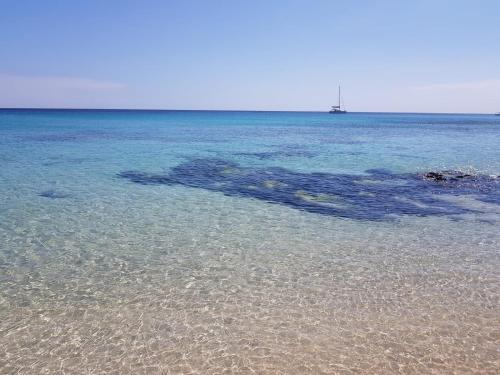 Your Ocean Window Your Ocean Window