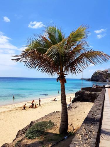 Your Ocean Window Your Ocean Window