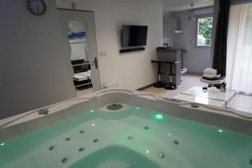 Appart&Spa, Tolosa (foto 5)