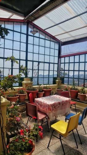 YMCA Tourist Hostel Shimla in Shimla