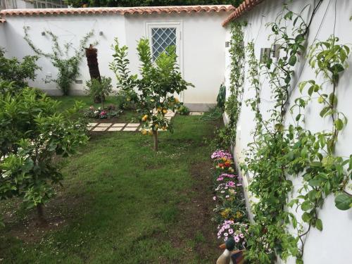 The Secret Garden in the historic center, Neapel (Foto 6)