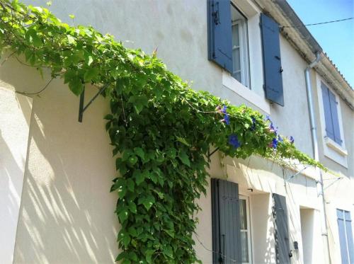 Bejárat, Au Cœur des Remparts in Aigues-Mortes