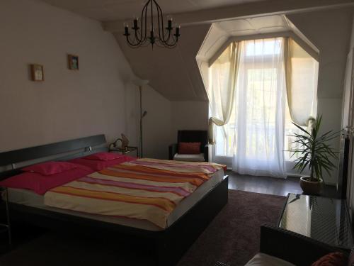 Eva Rooms - image 12