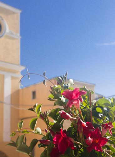 B&B San Trifone
