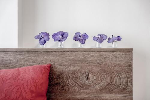 Regina's Alpenpanorama