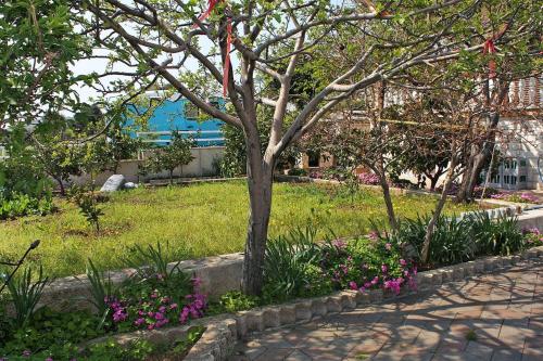  Apartment Grebastica 4882c, Ferienwohnung in Bašelovići