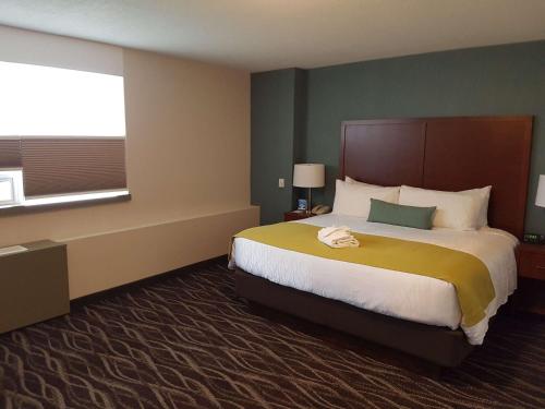 King Room with Roll-In Shower - Disability Access